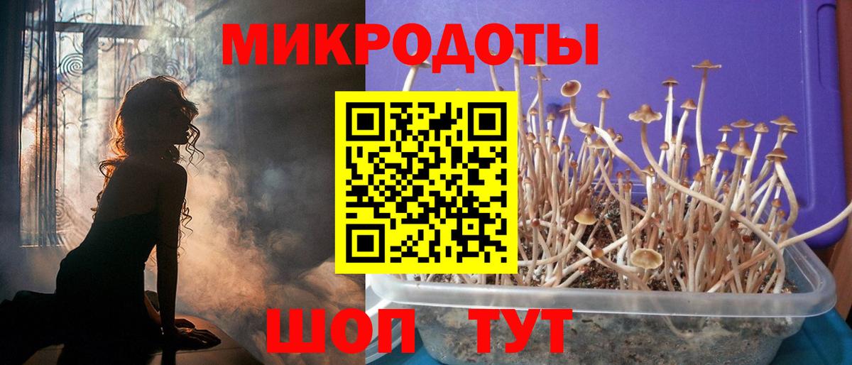 Галлюциногенные грибы MAGIC MUSHROOMS Похвистнево